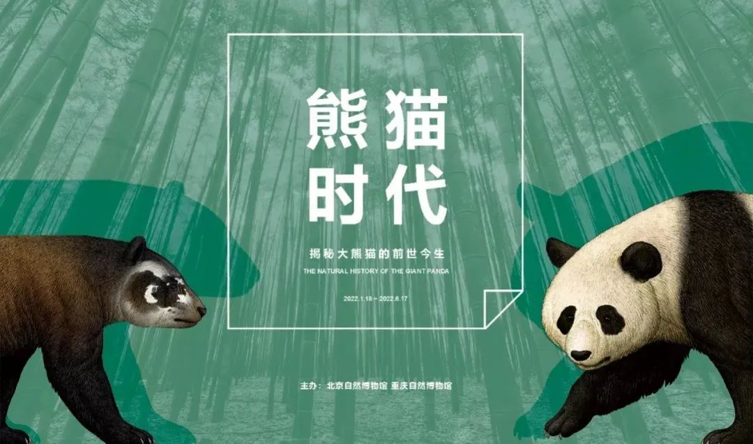 3月北京展訊丨最是一年春好處，最高人氣藝術(shù)大展等你去打卡...(圖10)